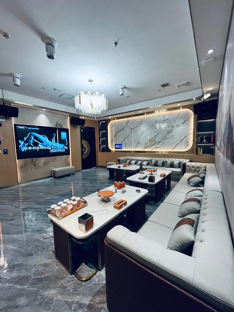 商务ktv好不好-龙游县ktv预定